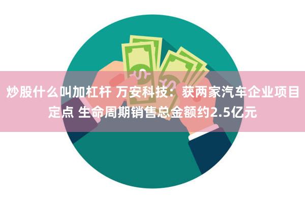 炒股什么叫加杠杆 万安科技：获两家汽车企业项目定点 生命周期销售总金额约2.5亿元