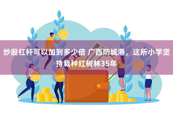 炒股杠杆可以加到多少倍 广西防城港，这所小学坚持栽种红树林35年