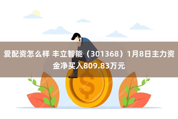 爱配资怎么样 丰立智能（301368）1月8日主力资金净买入809.83万元