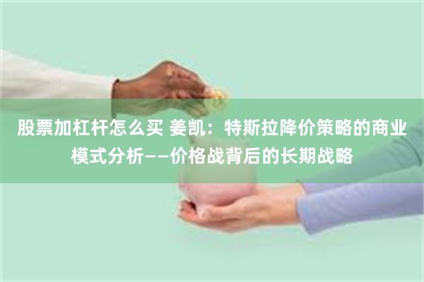 股票加杠杆怎么买 姜凯：特斯拉降价策略的商业模式分析——价格战背后的长期战略